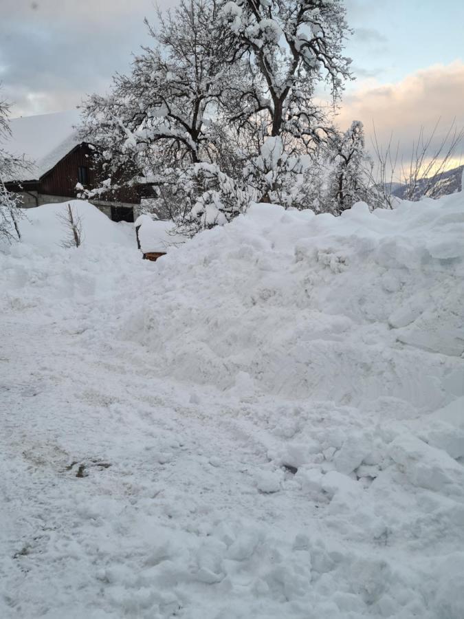 Ferienwohnung Salburg,Troepolach Exteriör bild
